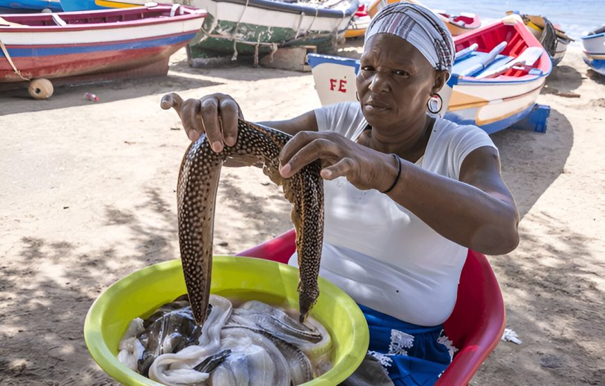 Volta à Ilha Santiago