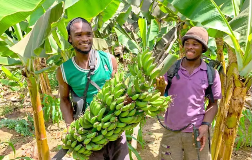 Visita a uma plantação de bananas + Aula de cozinha