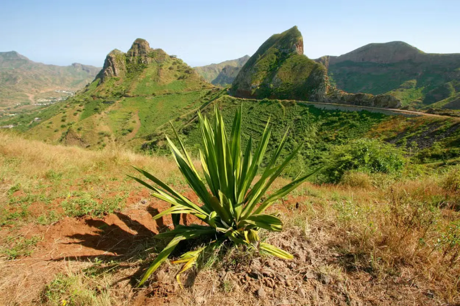 Percurso Monte Tchota e Pico d’Antónia